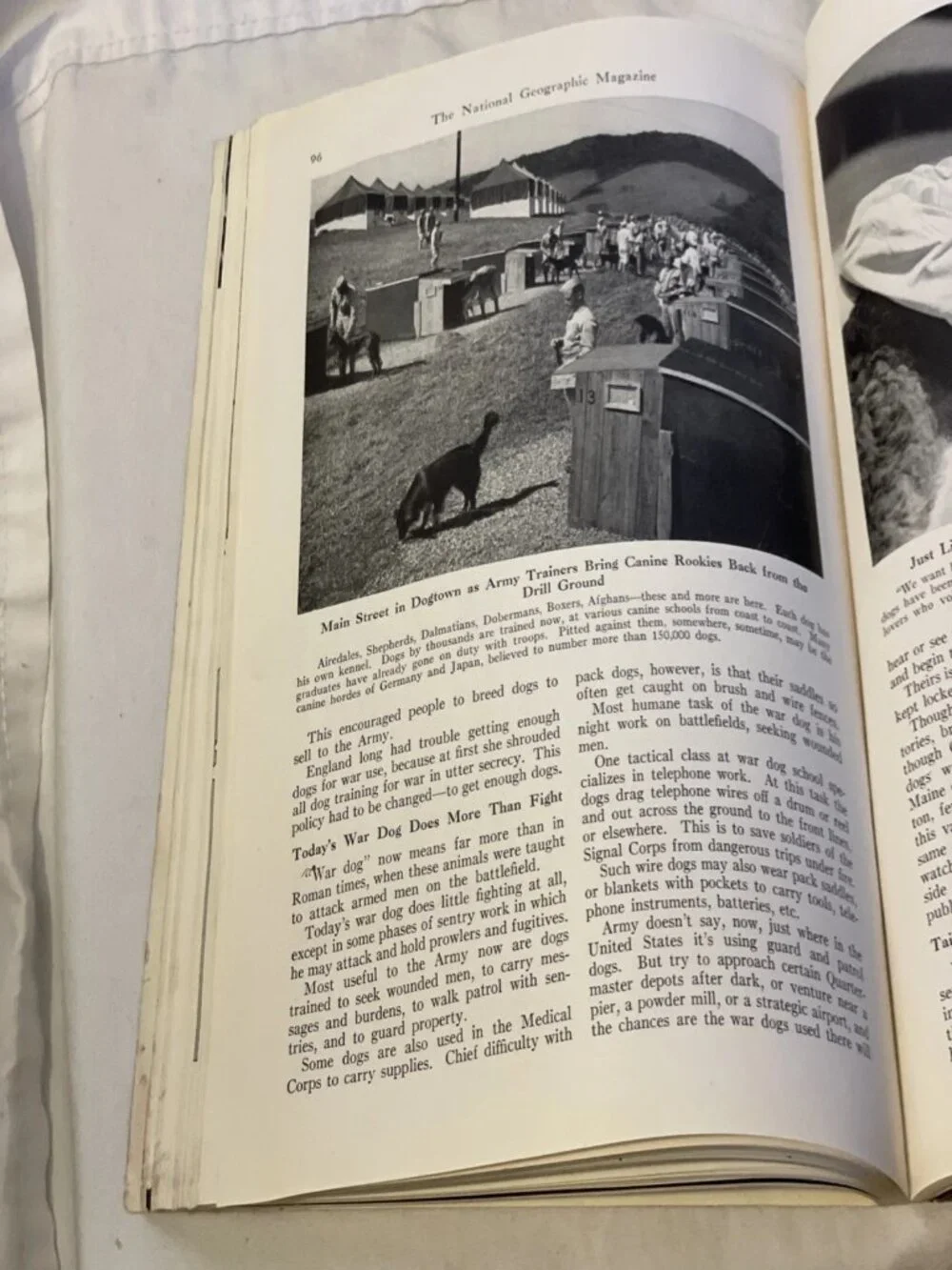 1943 JAN National Geographic Magazine Vol 83 No 1 WWII Dogs Glass Gilbert Island